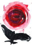 Whild Rose, 2017, 86×61 cm, acrylic/paper